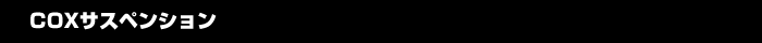 COXTXyV